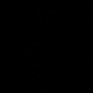 Meet your Posher, Babsbs